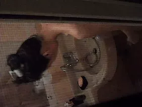 現在，風騷Sasha Rose會告訴你色情片是如何拍攝的，並會告訴你一些有趣的細節來自你自己的生活。這是一個金發女郎第一次嘗試在成年時代的前夕進行肛交，這個女孩經歷了一場難以形容的快樂，從高潮中撕裂了她。這是肛門口的發展的開始，推動了聖彼得堡的蛹為成人拍攝電影，她現在在肛門女王的場景中享有盛名。可愛有一個小的，過敏的懷抱，甜心不會填充矽膠，因為在創作過程中的主要作用是完全的對於他們完美無瑕的肛門和大直腸，許多強有力的polororovyat演員降低了精液。 Leshians Sasha Rose非常愉快的交易，用手指亂搞他們，舔貓，使用性玩具和各種各樣的設備，但仍然喜歡與肥胖的成員一起熱情，強壯，可愛的傢伙。自然自然需要一個可愛的他媽的至少與兩個夥伴，因為雙重滲透給予雙重狂喜。金發女郎的女性氣質超越了對這個概念的通常理解，但由於選擇色情明星的職業生涯，親愛的人沒有一個永久愛的人，她是每個人的垃圾，同時不是任何人擁有。